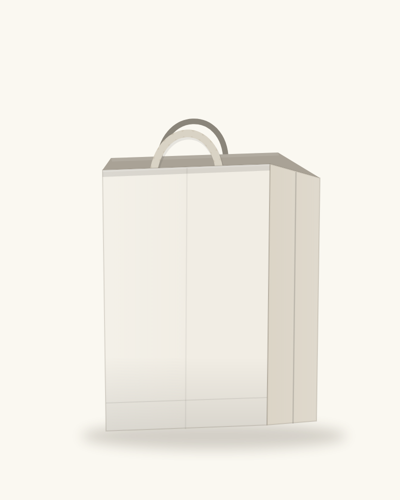 Sacs Papier à Poignées Torsadées — ProxiPack — miniature 3