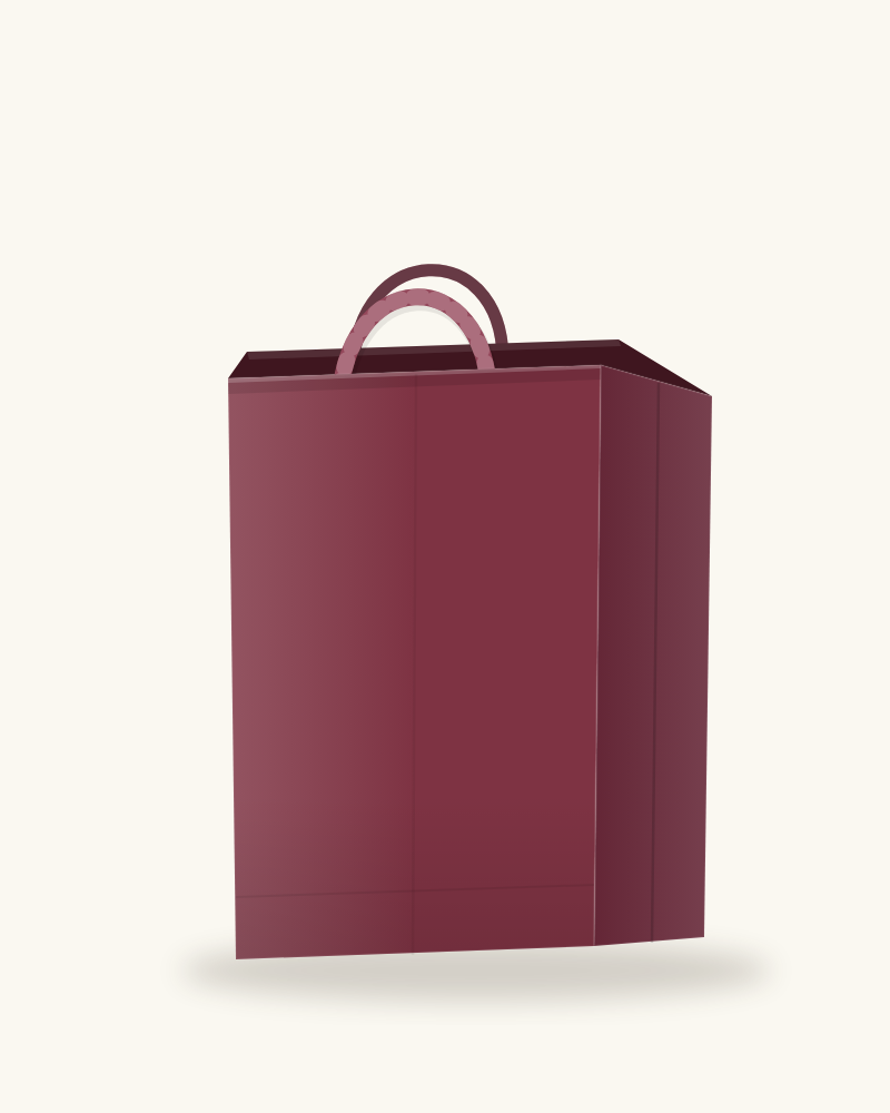 Sacs Papier à Poignées Torsadées — ProxiPack — miniature 7