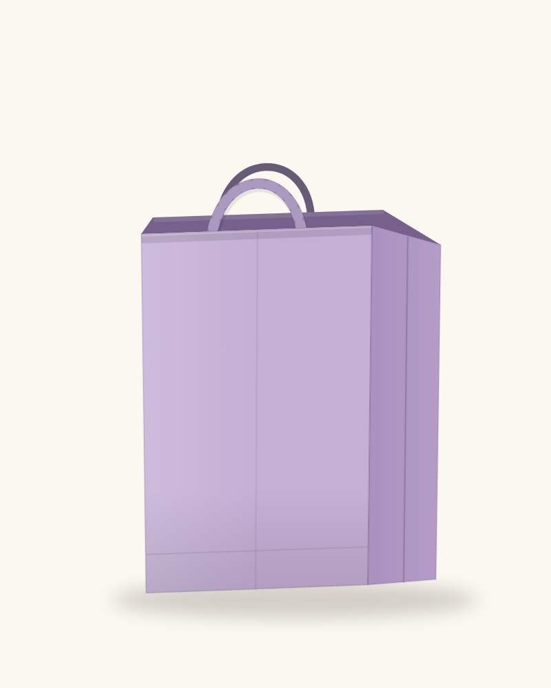 Sacs Papier à Poignées Torsadées — ProxiPack — miniature 4