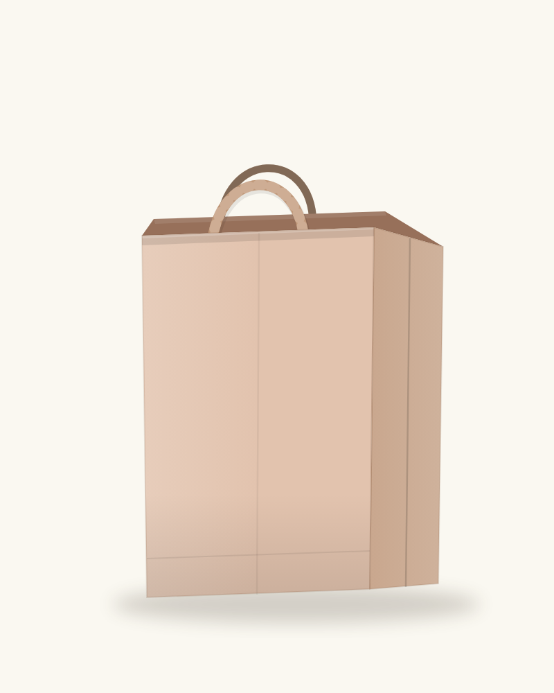 Sacs Papier à Poignées Torsadées — ProxiPack — miniature 5