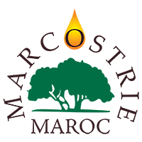 Marcostrie